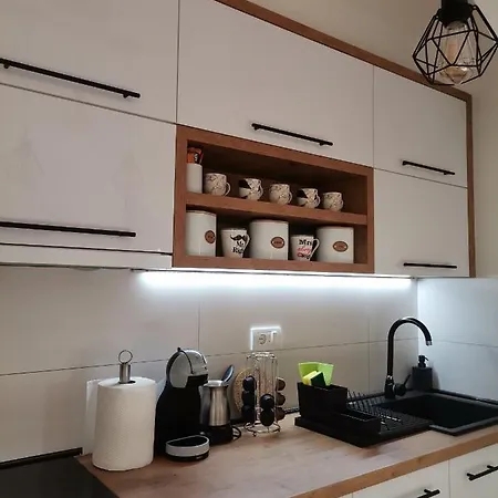 Vila Zlatibor_brezas34 *